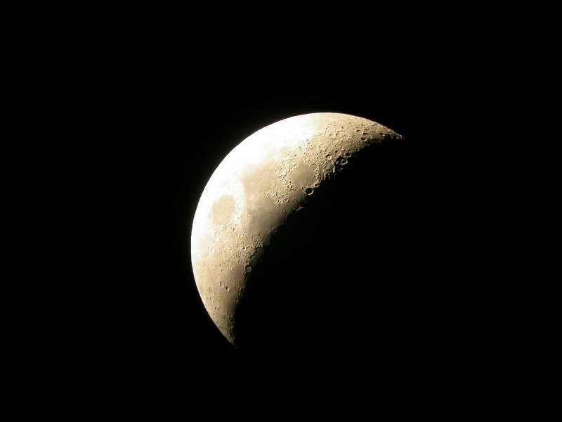 halfmoon